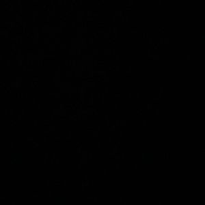 Meet your Posher, Briana